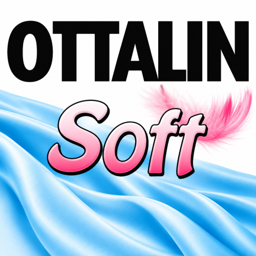 OTTALIN DASTURIY TA'MINOTI