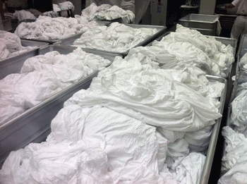 larose-textile-350dpi.gif larose-textile-350dpi.gif